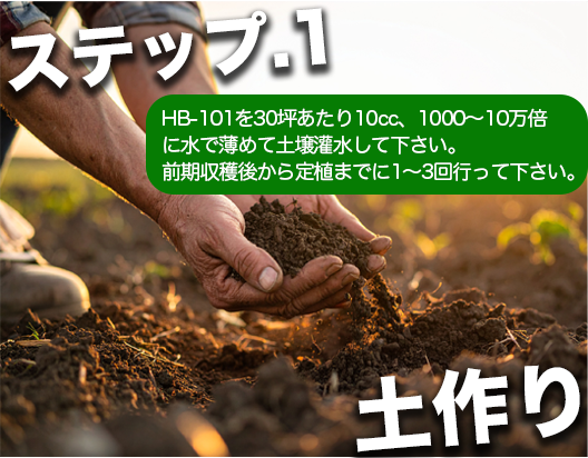 弱った土壌を健康にする